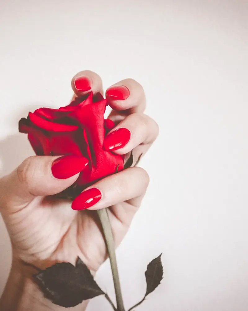 Mano con uñas rojas sosteniendo una rosa